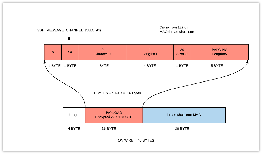 Traffic analysis of Secure Shell (SSH) Trisul Network Analytics