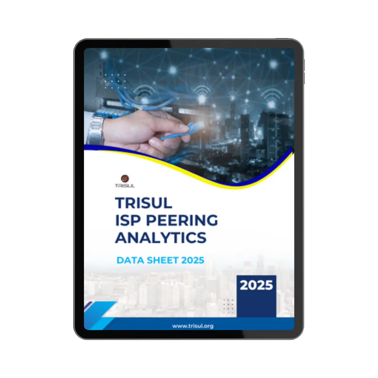 Download Trisul ISP Peering Analytics Datasheet